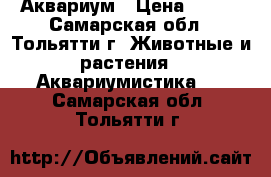 Аквариум › Цена ­ 500 - Самарская обл., Тольятти г. Животные и растения » Аквариумистика   . Самарская обл.,Тольятти г.